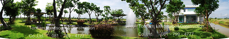 softscape wide content